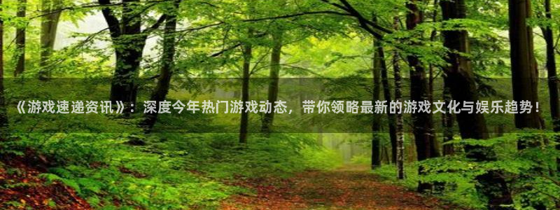 辉达娱乐注册服务条款：《游戏速递资讯》：深度今年热门游戏动态