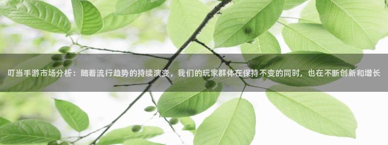 辉达娱乐主管