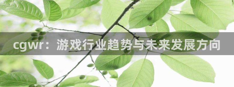 辉达娱乐登陆测速：cgwr：游戏行业趋势与未来发展方向