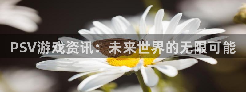 辉达娱乐咨询