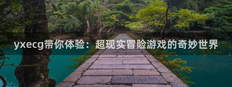 辉达娱乐官网