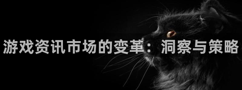 辉达娱乐注册账号：游戏资讯市场的变革：洞察与策略