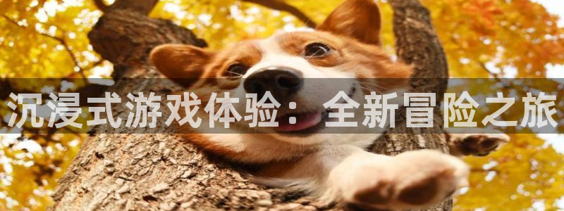 辉达娱乐平台注册：沉浸式游戏体验：全新冒险之旅