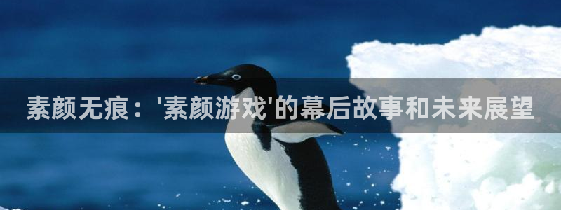 辉达娱乐平台注册资金多少：素颜无痕：\'素颜游戏\'的幕后故