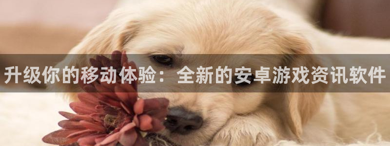 辉达娱乐平台登录：升级你的移动体验：全新的安卓游戏资讯软件