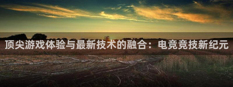 辉达娱乐主管：顶尖游戏体验与最新技术的融合：电竞竞技新纪元
