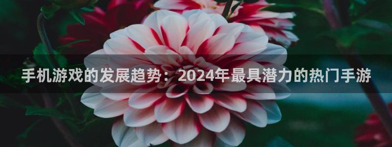 辉达娱乐登录地址：手机游戏的发展趋势：2024年最具潜力的热