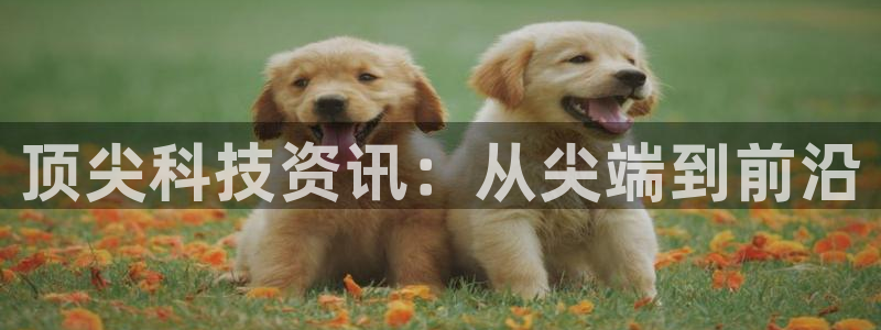 辉达娱乐代理登陆：顶尖科技资讯：从尖端到前沿