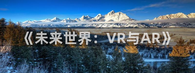 辉达娱乐注册测速：《未来世界：VR与AR》