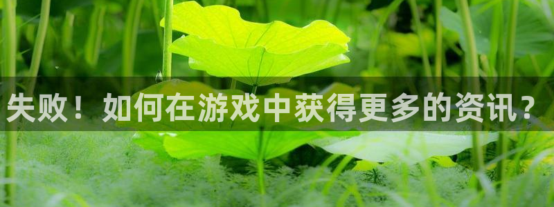 辉达娱乐注册服务条款：失败！如何在游戏中获得更多的资讯？