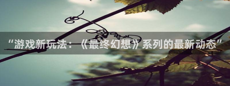 辉达娱乐平台官网登录：“游戏新玩法：《最终幻想》系列的最新动