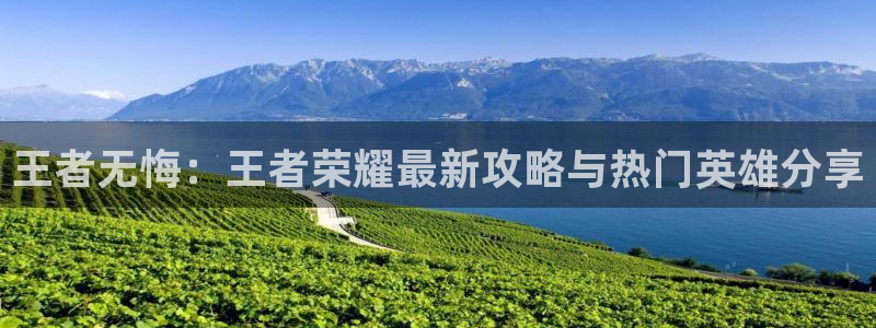 辉达娱乐登陆：王者无悔：王者荣耀最新攻略与热门英雄分享