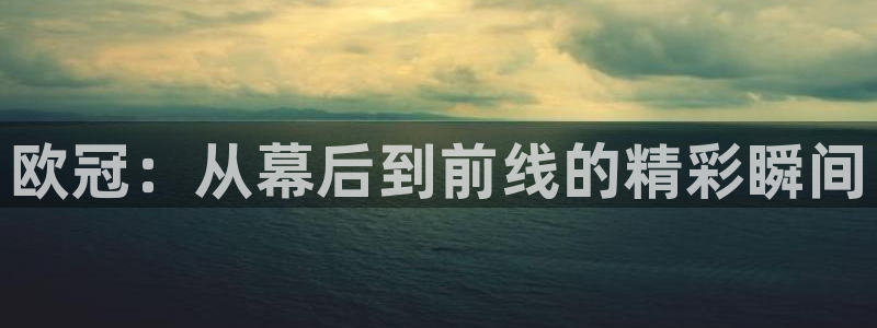 wqzb玩球直播：欧冠：从幕后到前线的精彩瞬间