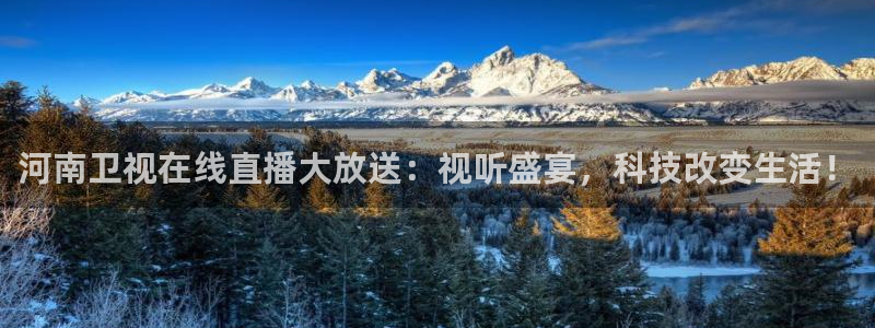 玩球直播nba体育直播：河南卫视在线直播大放送：视听盛宴，科技改变生活！