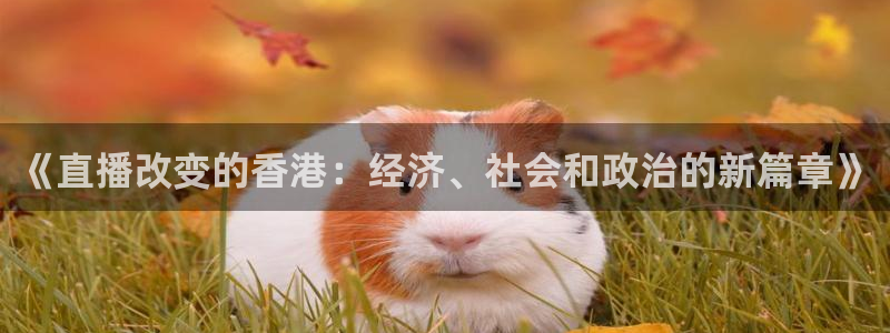 玩球直播(免费版)：《直播改变的香港：经济、社会和政治的新篇章》