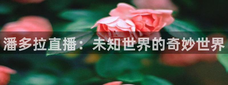 nba玩球直播手机在线直播：潘多拉直播：未知世界的奇妙世界