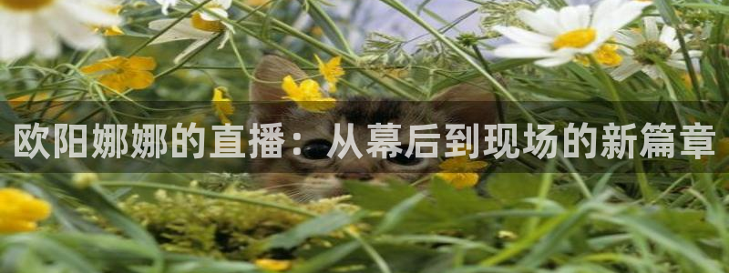 玩球直播吧：欧阳娜娜的直播：从幕后到现场的新篇章