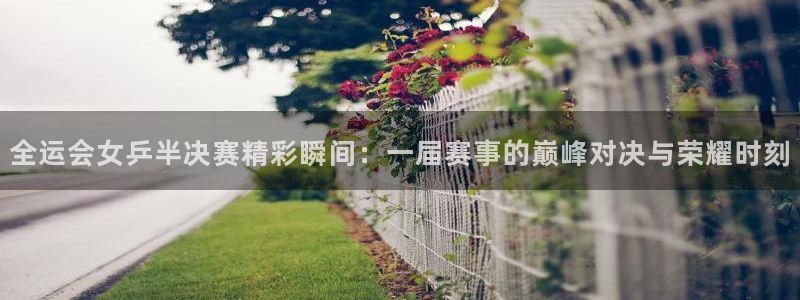 直播玩球：全运会女乒半决赛精彩瞬间：一届赛事的巅峰对决与荣耀时刻