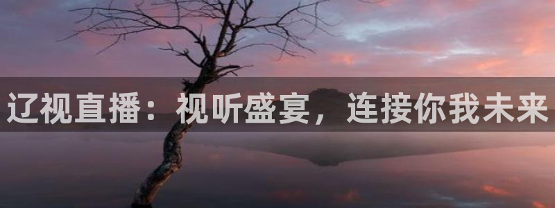 玩球直播官网app：辽视直播：视听盛宴，连接你我未来