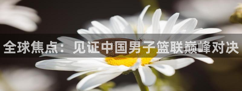 玩球直播吧：全球焦点：见证中国男子篮联巅峰对决