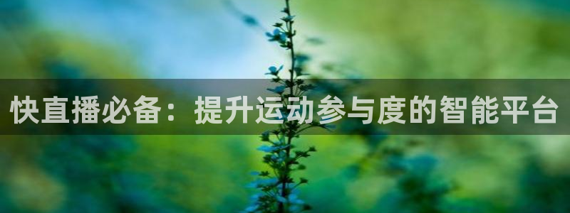 玩球tv直播：快直播必备：提升运动参与度的智能平台