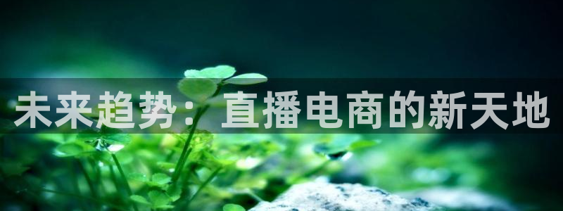 玩球直播官网nba直播：未来趋势：直播电商的新天地