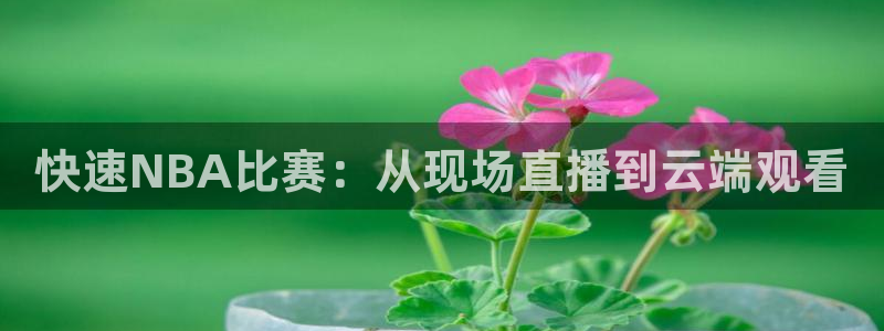 玩球体育app：快速NBA比赛：从现场直播到云端观看