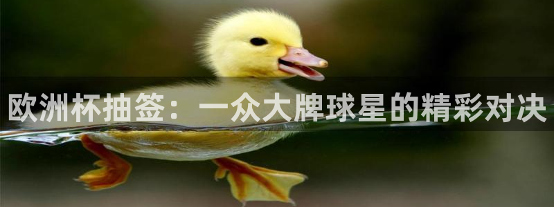 玩球直播 官网：欧洲杯抽签：一众大牌球星的精彩对决