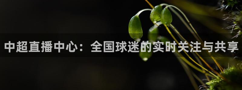 玩球直播下载
