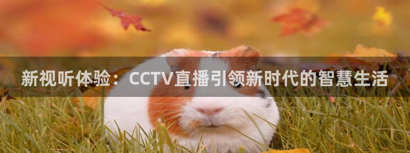 玩球app直播：新视听体验：CCTV直播引领新时代的智慧生活