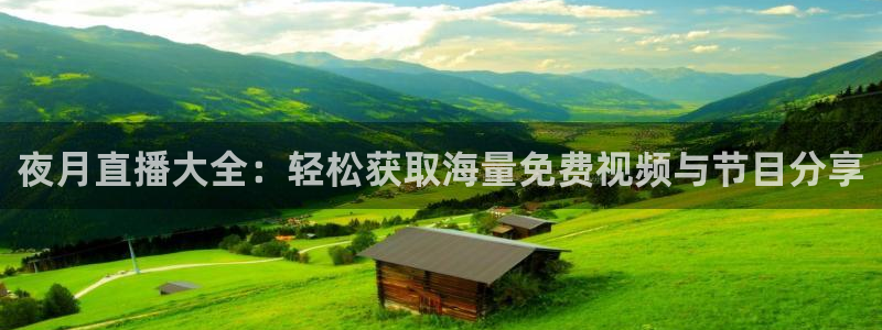 玩球直播在线观看免费观看：夜月直播大全：轻松获取海量免费视频与节目分享